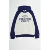Champion Sweatshirt Homme à Capuche - Bleu
