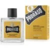 Proraso Baume à Barbe Wood And Spice Adoucissant 100 Ml -MenCorner Boutique 88920 1200x1200