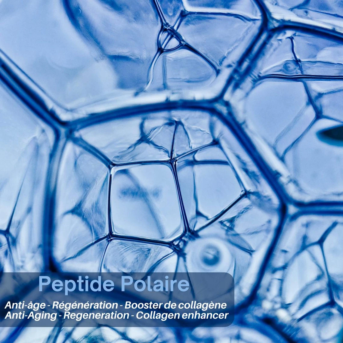 Polaar Anti-Âge De Glace, Soin Anti-Rides & Matifiant Au Peptide Polaire 50 Ml 8 Polaar Anti-Âge De Glace, Soin Anti-Rides & Matifiant Au Peptide Polaire 50 Ml – Image 6