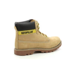 CATerpillar Bottillon COLORADO 2.0