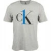 CALVIN KLEIN UNDERWEAR T SHIRT MANCHE COURTE Gris / Bleu