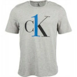 CALVIN KLEIN UNDERWEAR T SHIRT MANCHE COURTE Gris / Bleu