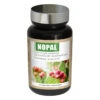 NOPAL - Capteur De Sucre -MenCorner Boutique capteur de sucre nopal 259909 1140x1140