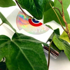 Cologne - Eau De Parfum 14 Cologne - Eau De Parfum -MenCorner Boutique cologne 183068 6 1140x1140