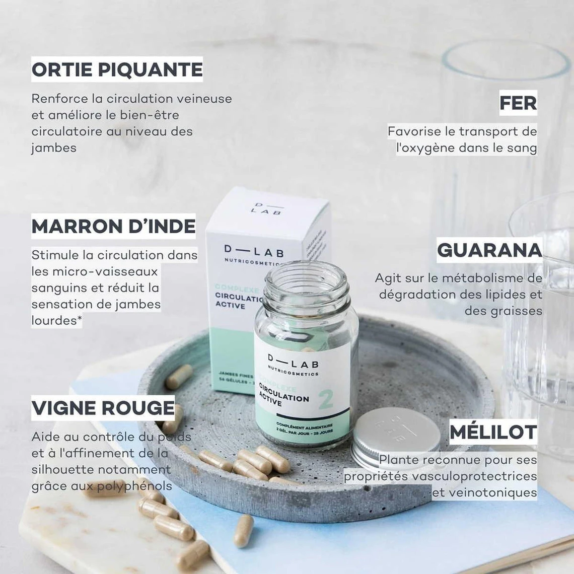 Complexe Circulation Active 3 Complexe Circulation Active