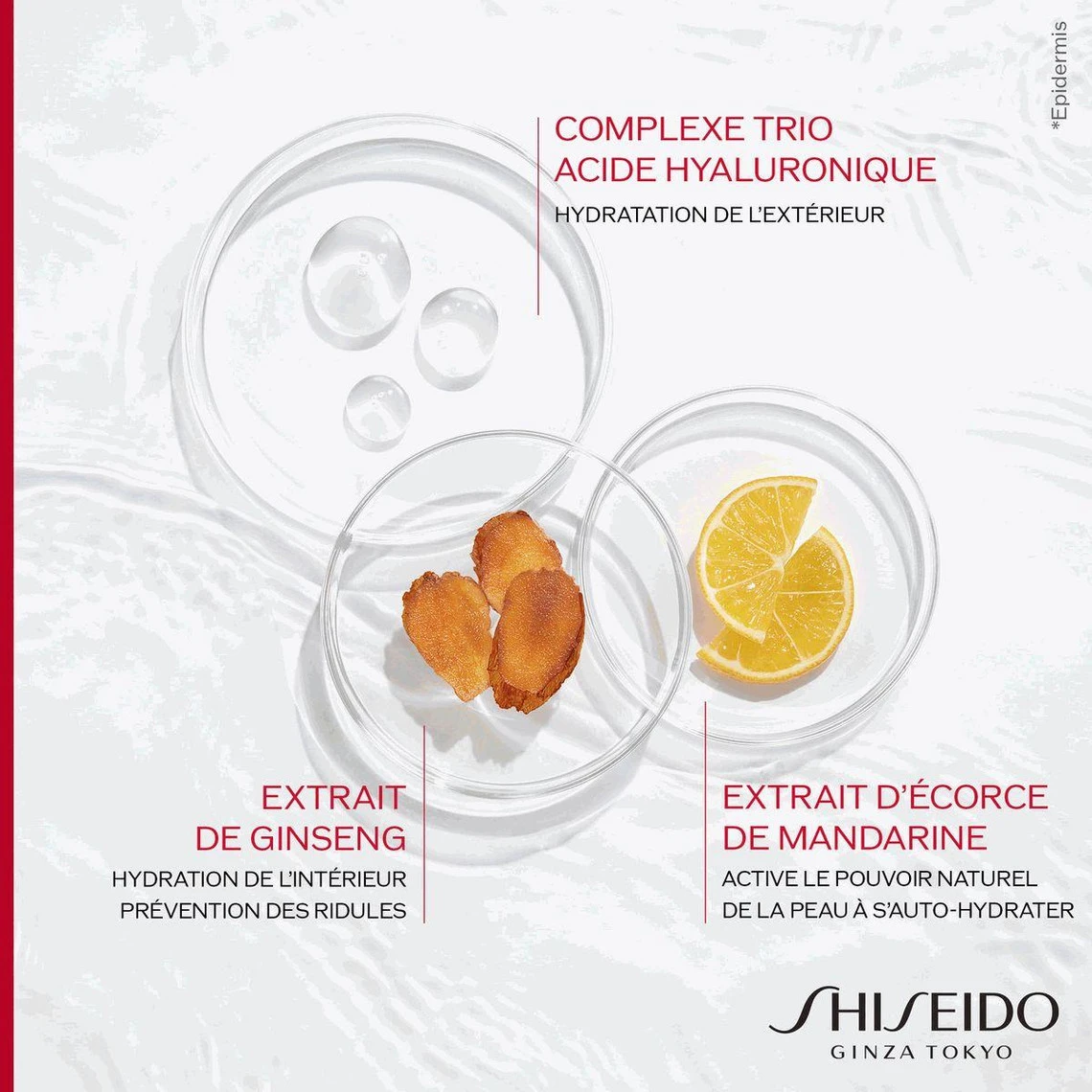 Shiseido Essential Energy - Crème De Jour Activatrice D'Hydratation SPF20 50 Ml 7 Shiseido Essential Energy - Crème De Jour Activatrice D'Hydratation SPF20 50 Ml – Image 5