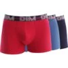 BOXER DIM POWERFULX3 87K R.B/B.N/ 1 BOXER DIM POWERFULX3 87K R.B/B.N/ -MenCorner Boutique dim underwear boxer dim powerfulx3 310565 592569 1200x1200