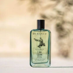 Cèdre Bleu - Eau De Toilette 100 Ml -MenCorner Boutique eau de toilette cedre bleu 184718 3 1140x1140