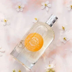 Eau De Toilette Fleur D'Oranger 100 Ml -MenCorner Boutique eau de toilette fleur doranger 3178768 3 1140x1140