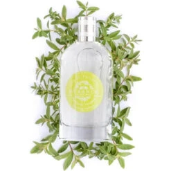 Eau De Toilette Pétillante Verveine 100 Ml -MenCorner Boutique eau de toilette petillante verveine 3178766 3 1140x1140