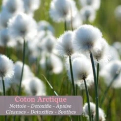 Polaar Eau Micellaire Cristalline IcePure - Coton Arctique 200ml -MenCorner Boutique eau micellaire cristalline icepure coton arctique 236774 4 1200x1200