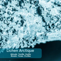 Polaar Gel Douche Scandinave Visage, Corps & Cheveux Au Lichen Arctique 200 Ml -MenCorner Boutique gel douche scandinave visage corps et cheveux au lichen arctique 3252233 6 1140x1140