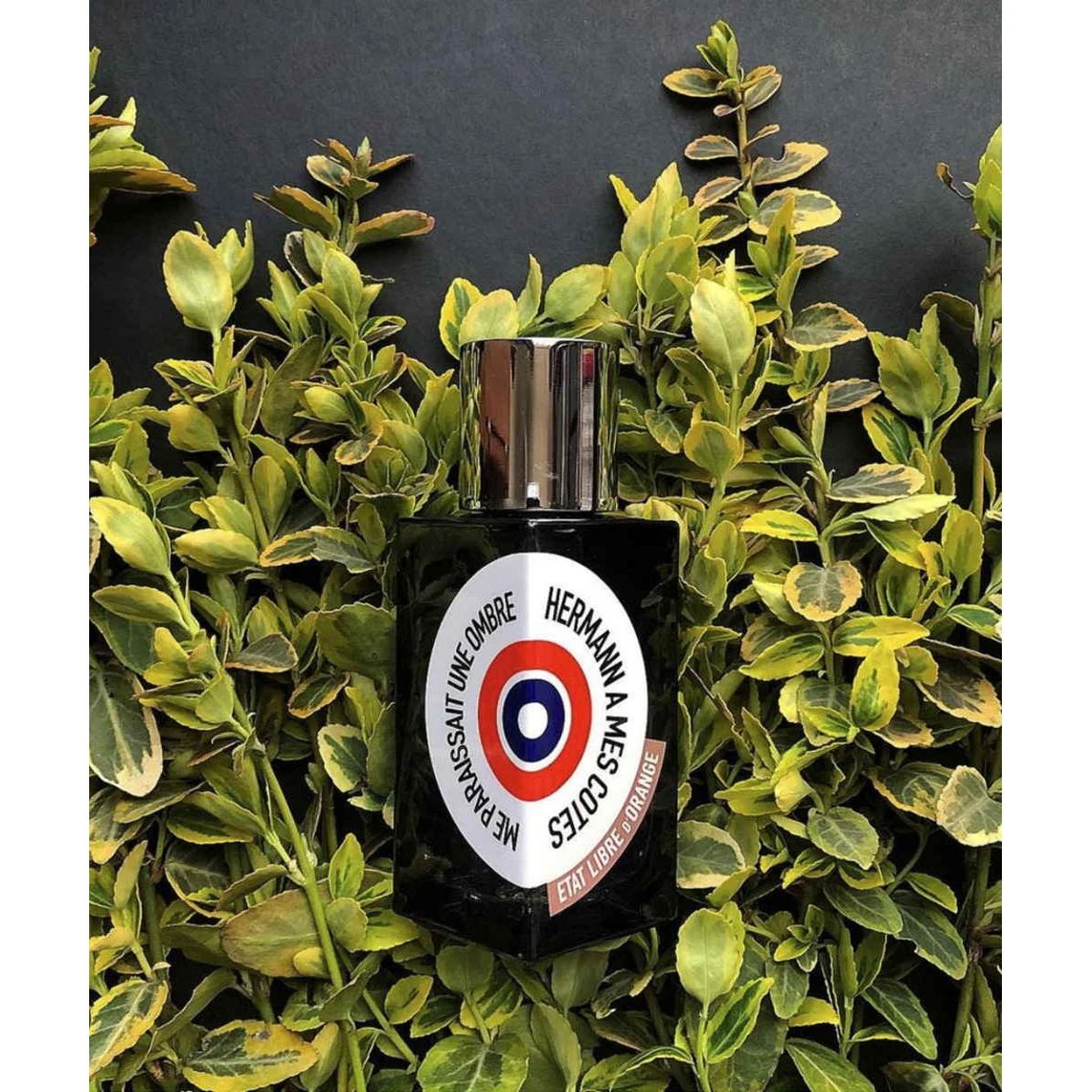 Hermann - Eau De Parfum 8 Hermann - Eau De Parfum – Image 6