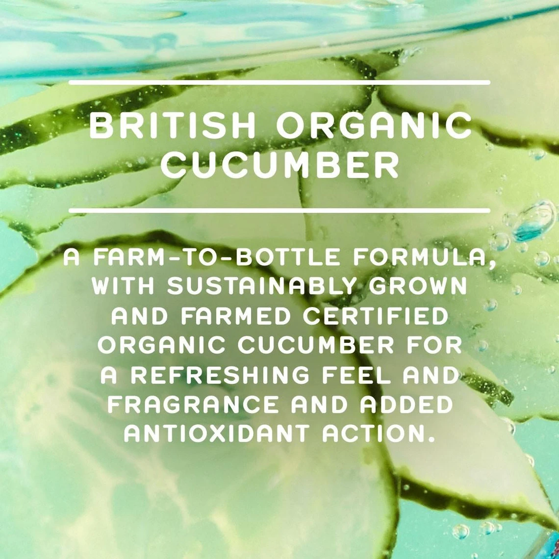 Ren Lotion Tonifiante Au Concombre Bio 250ml 9 Ren Lotion Tonifiante Au Concombre Bio 250ml – Image 7