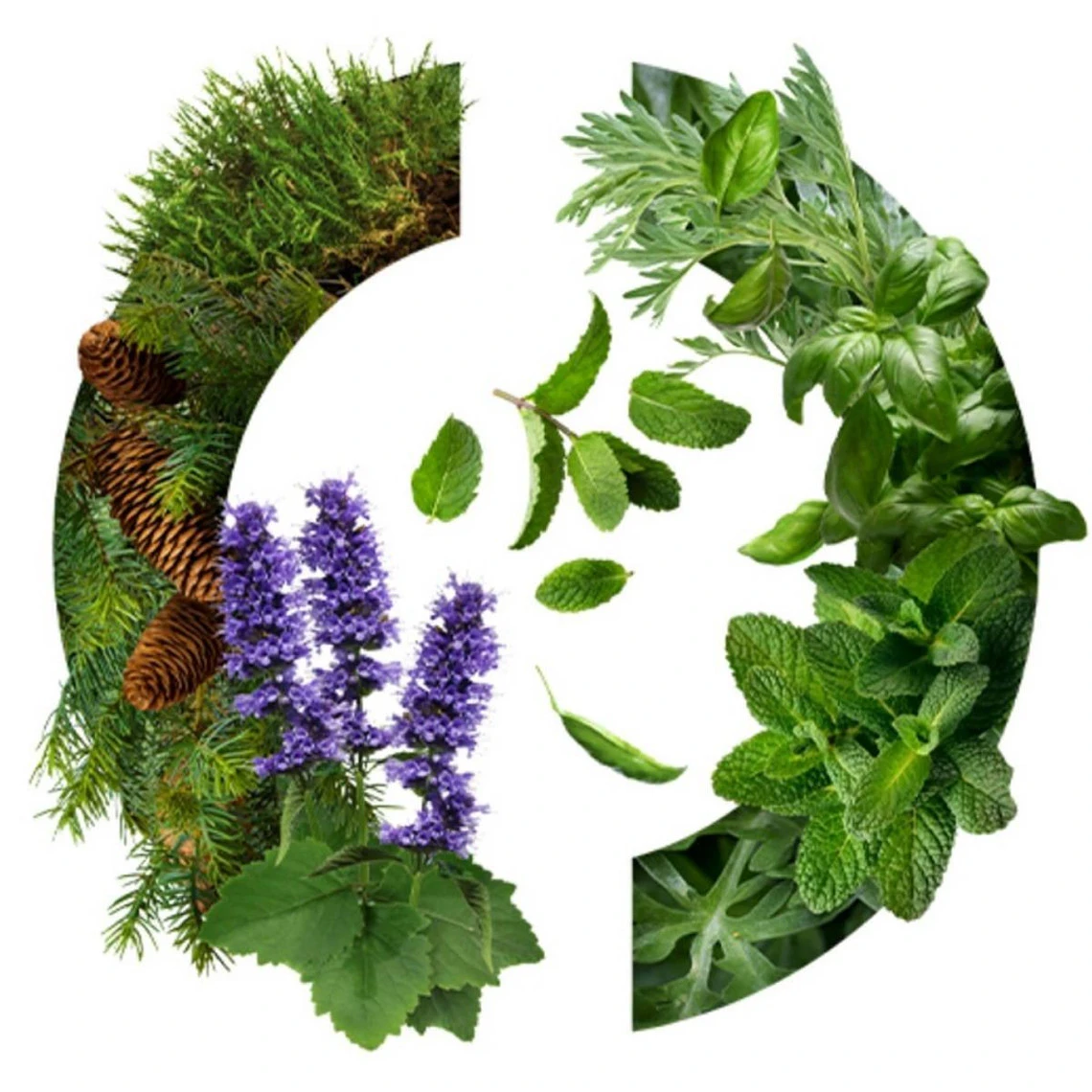 Yatagan Eau De Toilette 4 Yatagan Eau De Toilette – Image 2