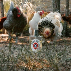 Putain Des Palaces - Eau De Parfum -MenCorner Boutique putain des palaces eau de parfum 58853 5 1140x1140