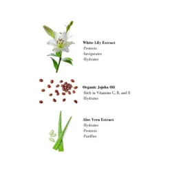 Shampoing & Gel Douche Corps Douceur Végétale 200ml -MenCorner Boutique shampoing et gel douche corps douceur vegetale 114830 4 1140x1140