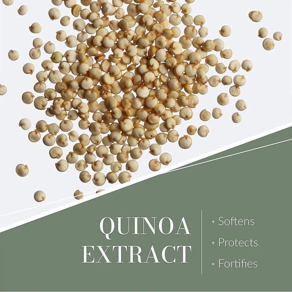 Shampoing Réparateur Reviviscence - Cheveux Déshydratés 200 Ml 6 Shampoing Réparateur Reviviscence - Cheveux Déshydratés 200 Ml – Image 4