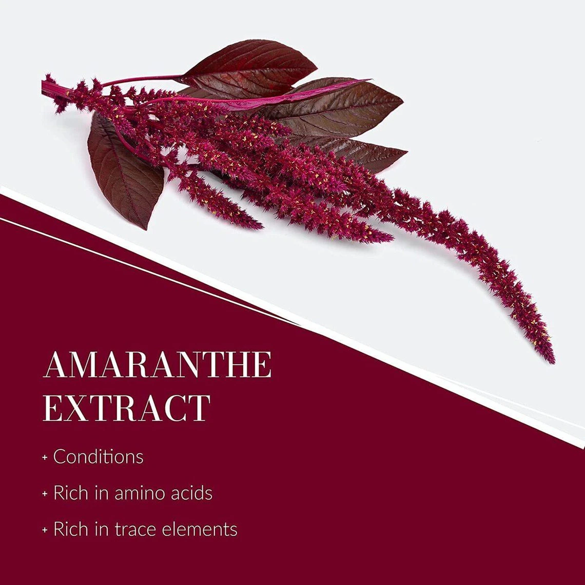 Shampoing Réparateur Reviviscence - Cheveux Déshydratés 200 Ml 7 Shampoing Réparateur Reviviscence - Cheveux Déshydratés 200 Ml – Image 5