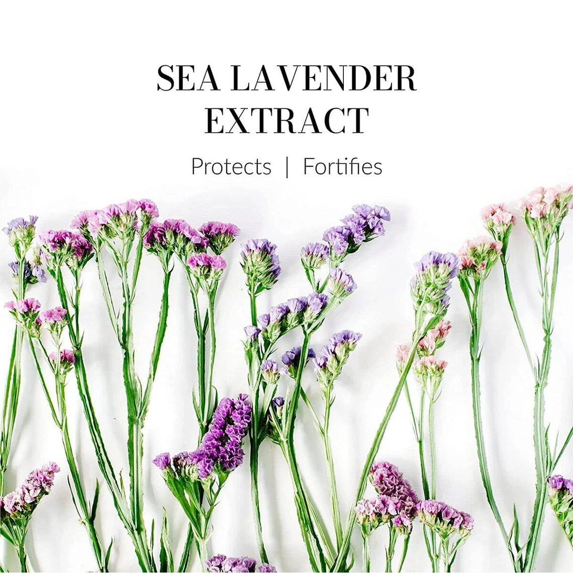 Shampoing Réparateur Reviviscence - Cheveux Déshydratés 200 Ml 8 Shampoing Réparateur Reviviscence - Cheveux Déshydratés 200 Ml – Image 6