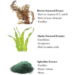 Shampooing Bain Volumateur - Aux Algues - Effet Démêlant 200 Ml 12 Shampooing Bain Volumateur - Aux Algues - Effet Démêlant 200 Ml -MenCorner Boutique shampooing bain volumateur aux algues effet demelant 17330 4 1140x1140