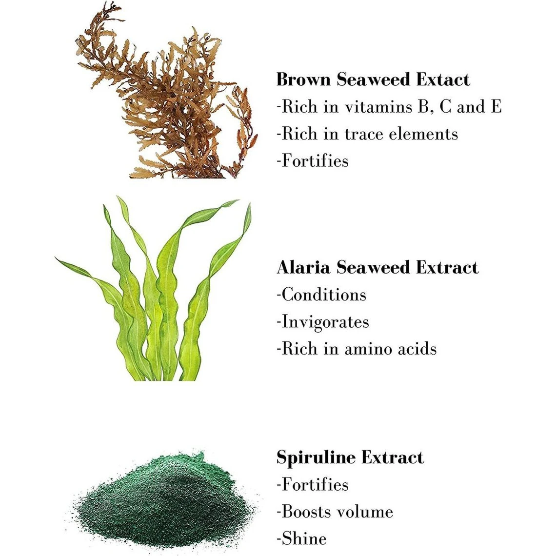 Shampooing Bain Volumateur - Aux Algues - Effet Démêlant 200 Ml 6 Shampooing Bain Volumateur - Aux Algues - Effet Démêlant 200 Ml – Image 4