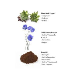 Shampooing Traitant Propolis - Doux & Anti-Pelliculaire 200 Ml -MenCorner Boutique shampooing traitant propolis doux et anti pelliculaire 13531 6 1140x1140