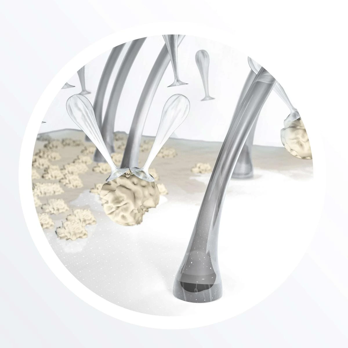 Nioxin Shampooing Densifiant System 3 - Cheveux Normaux à Fins Colorés 300 Ml – Image 4