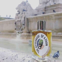 The Afternoon Of A Faun - Eau De Parfum 100 Ml 14 The Afternoon Of A Faun - Eau De Parfum 100 Ml -MenCorner Boutique the afternoon of a faun eau de parfum 75050 4 1140x1140