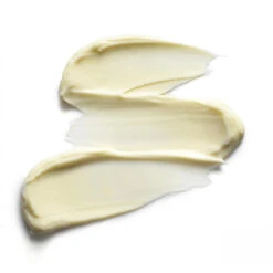 Ren Soin De Nuit Revitalisant – V-Cense 50ml -MenCorner Boutique v cense creme de nuit revitalisante 75280 4 1140x1140