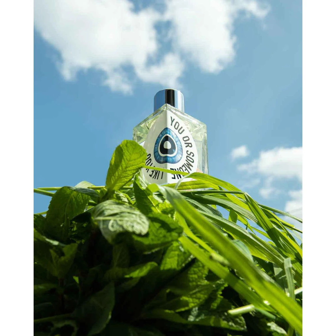 You Or Someone Like You - Eau De Parfum 8 You Or Someone Like You - Eau De Parfum – Image 6