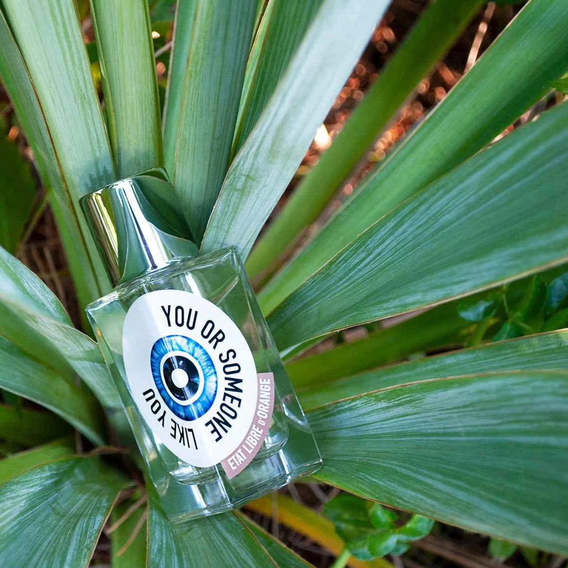 You Or Someone Like You - Eau De Parfum 9 You Or Someone Like You - Eau De Parfum – Image 7